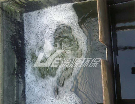 涂料化工廢水處理的生物法有哪些？